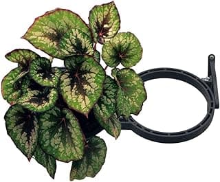 Módulo Greenplast para Jardim Vertical 50cm