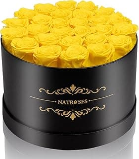 NATROSES 27 peças de rosas preservadas para sempre em uma caixa, flores preservadas para aniversário, presentes de flores para o dia das mães, amarelo