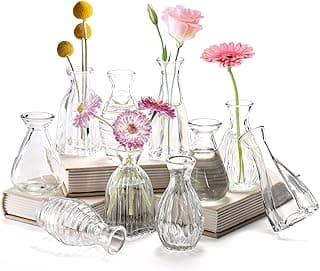 SOUJOY Pacote com 10 pequenos vasos de vidro, mini vaso de flores para centros de mesa, vasos florais vintage transparentes para decoração de casa, casamentos, arranjos florais, eventos, festas