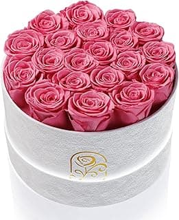 Presentes para mulheres, caixa de flores de rosas preservadas, caixa de veludo de luxo com 20 rosas, flores preservadas, presente romântico para ela, esposa, namorada, aniversário, aniversário, Natal
