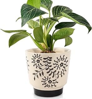 Vasos de cerâmica para interior com orifícios de drenagem, 12 cm, lindos vasos de flores suculentas, pequenos vasos de orquídeas para plantas de interior, vasos de jardim, flores