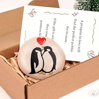 Presentes de Dia dos Namorados para ele ou ela - Pedregulho de pinguim pintado à mão, presente pequeno fofo e engraçado para namorado, namorada, marido, esposa - Cartões de Dia dos Namorados