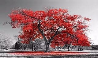 Quadro Decorativo Arvore da Vida Vermelha 55x100