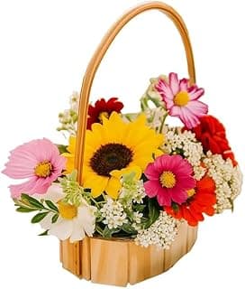 Cesta De Café Da Manhã OVAL 18 cm Kit C/20