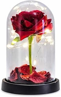 Rosa Vermelha Preservada em Cúpula de Vidro com Luz de LED Presente Romântico para Dia dos Namorados Base Preta